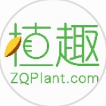 多肉植物推荐